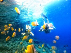 snorkeling-nusa-penida